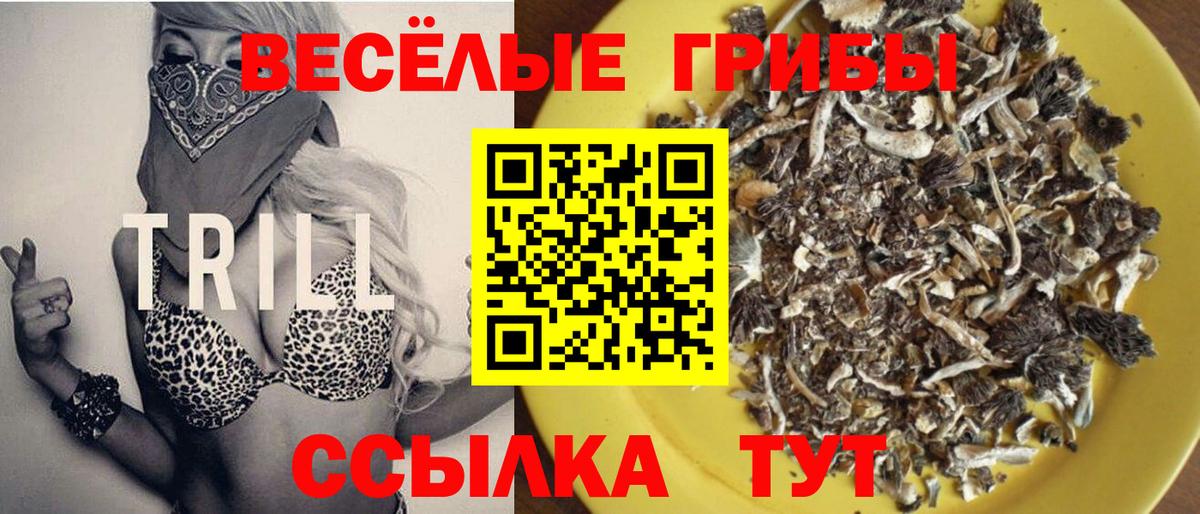 Галлюциногенные грибы Magic Shrooms  Вход с VPN  Лабытнанги 